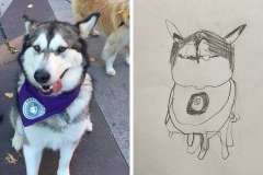 Kitana - Poorly Drawn Pets