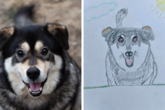 Poorly Drawn Pets-Website Template - 1