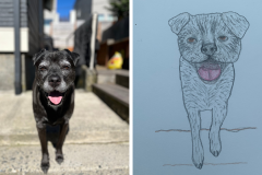 Poorly Drawn Pets-Website Template - 1